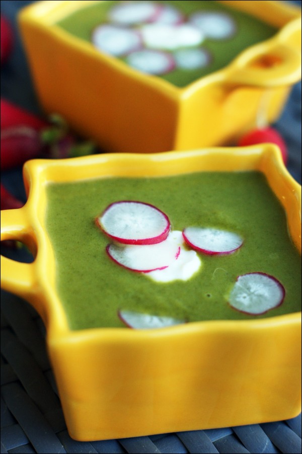 Veloute Fane De Radis Thermomix Velouté De Fane De Radis Et Céleris Branche 12 Velouté de fanes de radis