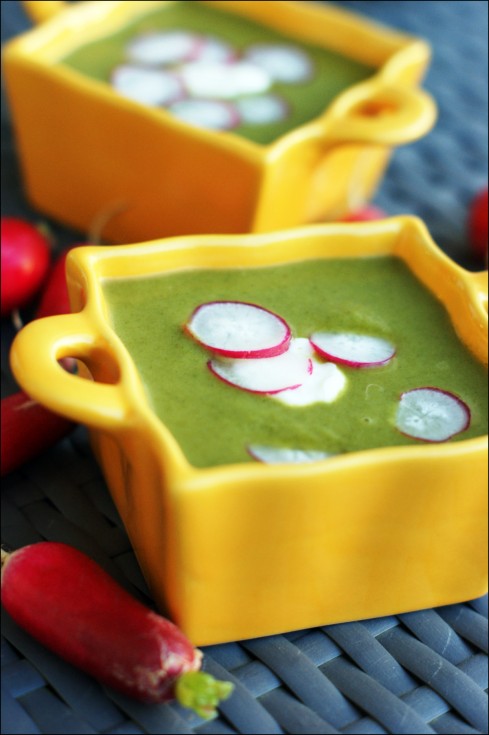 Velouté de fanes de radis